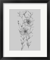 Grey Flower Sketch Illustration I Fine Art Print