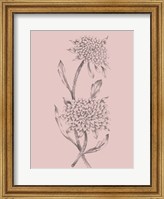 Pink Flower Sketch Illustration II Fine Art Print