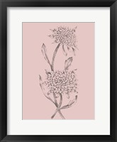 Pink Flower Sketch Illustration II Fine Art Print