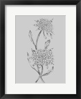 Grey Flower Sketch Illustration II Fine Art Print