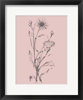 Pink Flower Sketch Illustration III Fine Art Print