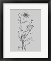 Grey Flower Sketch Illustration III Framed Print