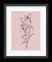 Pretty Pink Flower I Framed Print