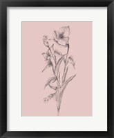 Pretty Pink Flower I Framed Print