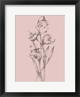 Pretty Pink Flower II Fine Art Print
