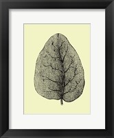 Leaf Fine Art Print