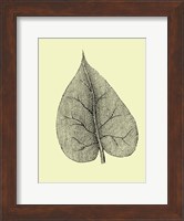 Leaf I Fine Art Print