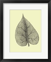 Leaf I Framed Print