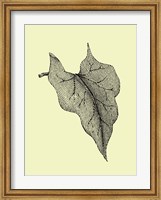 Leaf III Fine Art Print