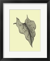 Leaf III Fine Art Print