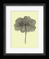 Floating Leaf II Framed Print