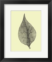 Floating Leaf III Fine Art Print