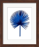 Blue Chamaerops Leaf Fine Art Print