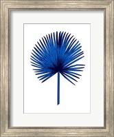 Blue Chamaerops Leaf Fine Art Print