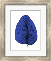 Floating Blue Leaf I Fine Art Print
