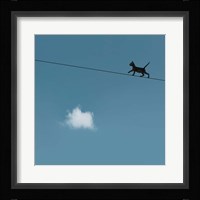 Walk The Line Fine Art Print