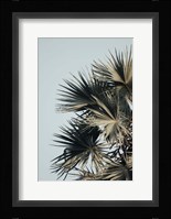 Buxton Fine Art Print