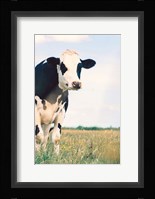 Kenton Fine Art Print