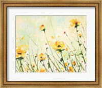 Chrysanthemum and Daisy Field Fine Art Print
