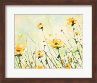 Chrysanthemum and Daisy Field Fine Art Print