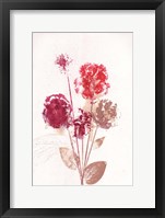 Bouquet 1 Red Fine Art Print