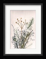 Bouquet 5 Fine Art Print