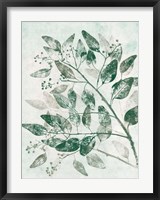 Eucalyptus 1 Green Fine Art Print