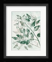 Eucalyptus 1 Green Fine Art Print