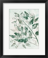 Eucalyptus 1 Green Fine Art Print