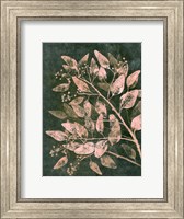 Eucalyptus 1 Moss Blush Fine Art Print