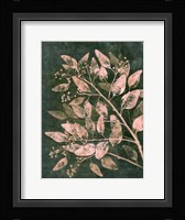 Eucalyptus 1 Moss Blush Fine Art Print