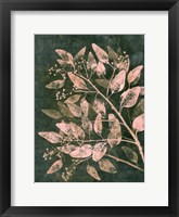 Eucalyptus 1 Moss Blush Fine Art Print