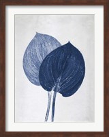 Hosta 2 Blue Fine Art Print