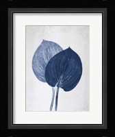 Hosta 2 Blue Fine Art Print