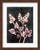 Lilac 1 Blush Dark Green Fine Art Print