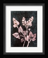 Lilac 1 Blush Dark Green Fine Art Print