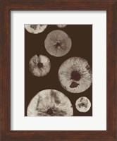Mushroom 5 Dark Brown Fine Art Print