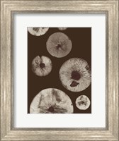 Mushroom 5 Dark Brown Fine Art Print