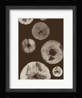 Mushroom 5 Dark Brown Fine Art Print