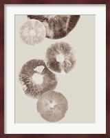 Mushroom 6 Light Brown Fine Art Print