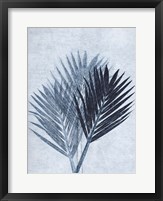 Palm 4 Blue Fine Art Print