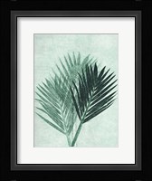 Palm 4 Green Fine Art Print