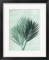 Palm 4 Green Fine Art Print