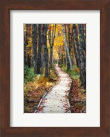 Autumn Boardwalk I Fine Art Print