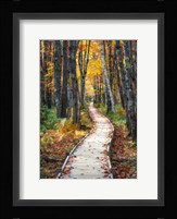 Autumn Boardwalk I Fine Art Print