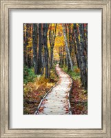 Autumn Boardwalk I Fine Art Print