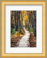 Autumn Boardwalk I Fine Art Print