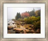 Misty Maine Fine Art Print