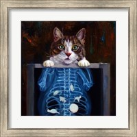 Cat Scan Fine Art Print