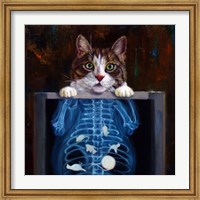 Cat Scan Fine Art Print